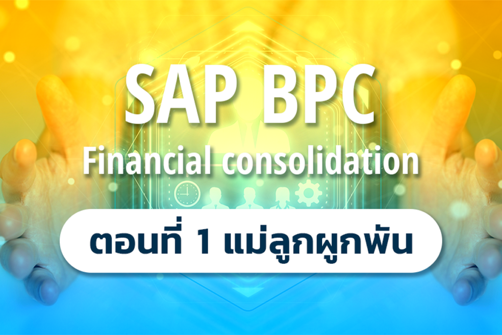 SAP BPC (Financial consolidation) - ตอนที่ 1 แม่ลูกผูกพัน (Ownership)