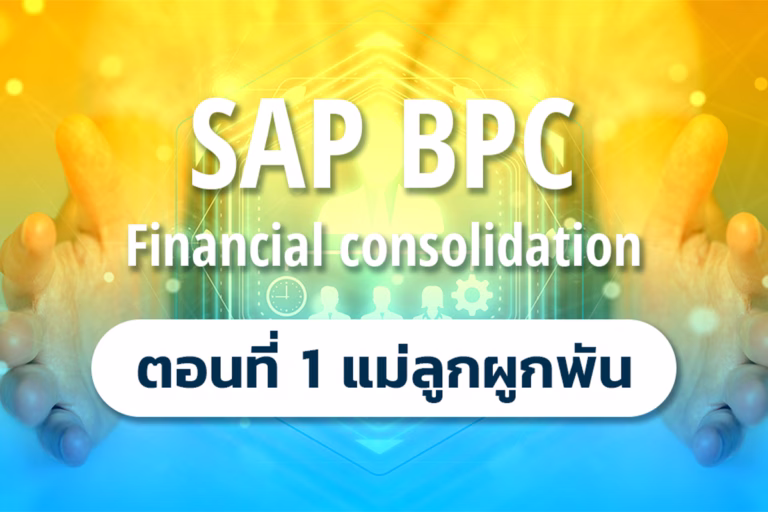 SAP BPC (Financial consolidation) - ตอนที่ 1 แม่ลูกผูกพัน (Ownership)