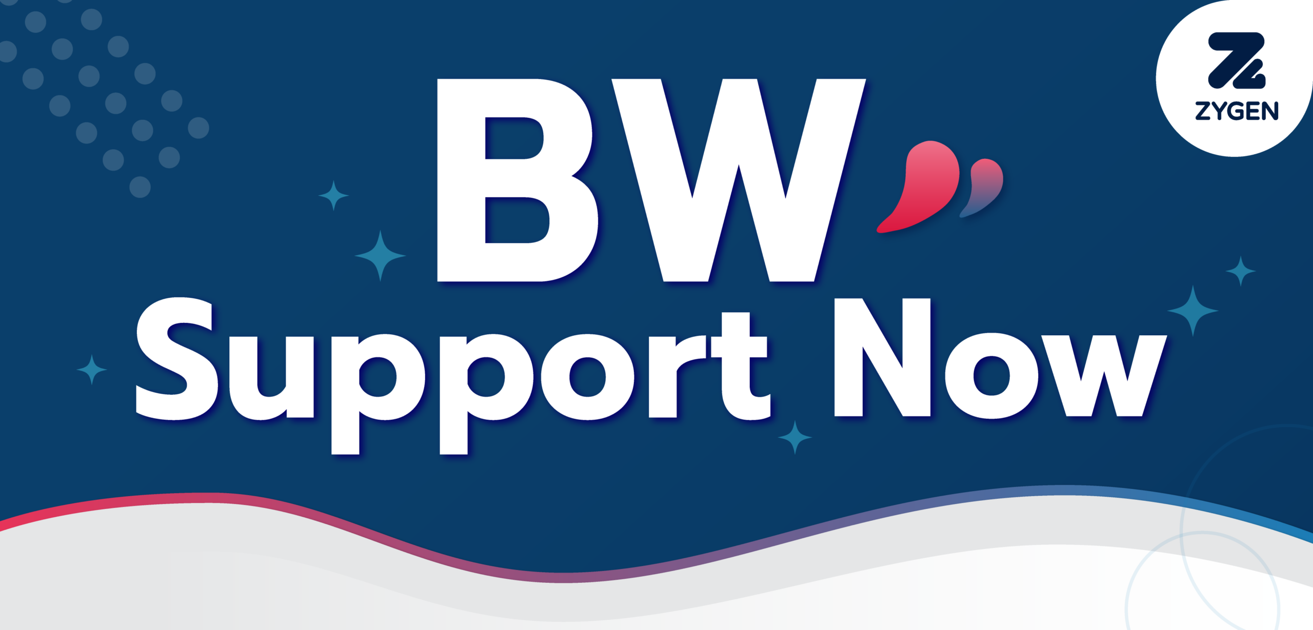 BW Support Now - SAP BW Promotion - ZyGen