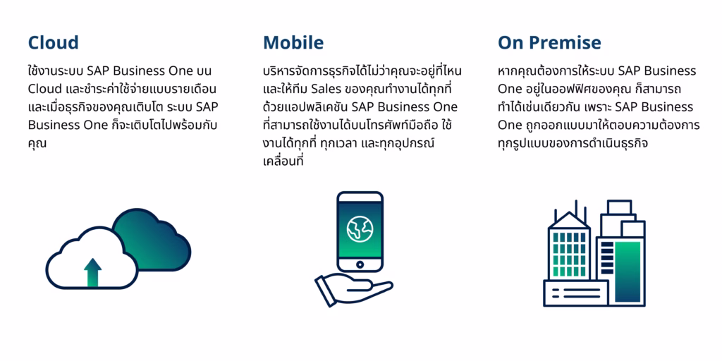 SAP Business One - Customization