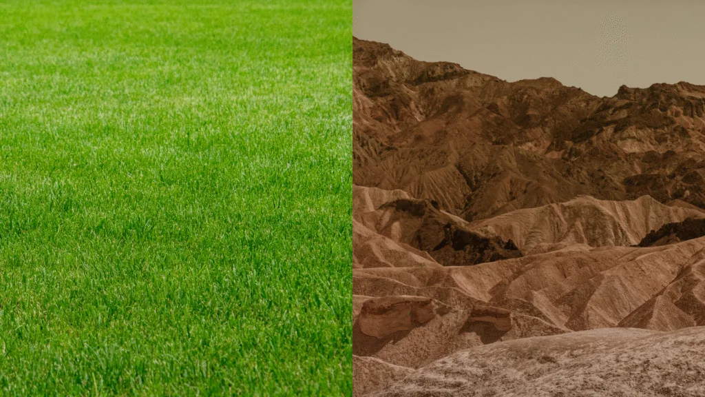 RAP - Greenfield VS Brownfield