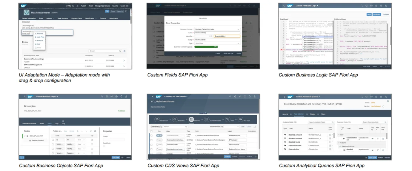 Grow with SAP & Rise with SAP & Fiori