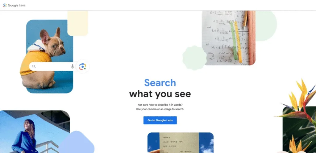 Vector Search in Google Lens
