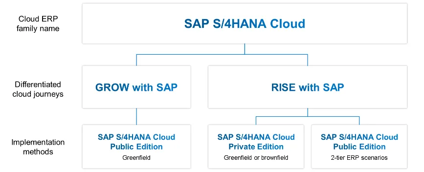 Grow with SAP & Rise with SAP - Differences