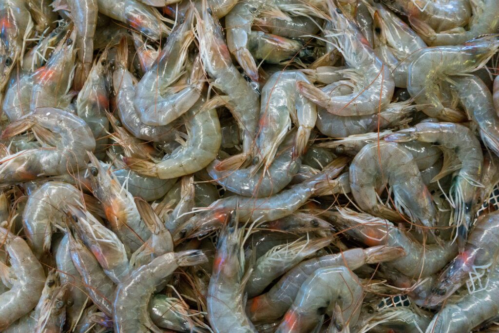 Raw shrimps